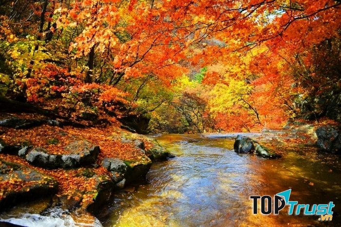 Ngọn núi đẹp nhất Hàn Quốc vào mùa thu đông