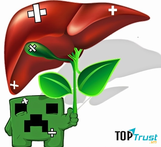 Nguy cơ và dấu hiệu nhận biết người mắc bệnh gan