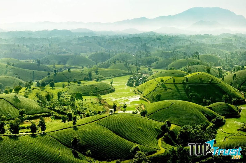 Nhà xe uy tín, chất lượng nhất chạy tuyến Hà Nội - Phú Thọ