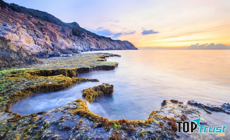 Nhà xe uy tín nhất chạy tuyến Tp HCM - Ninh Thuận