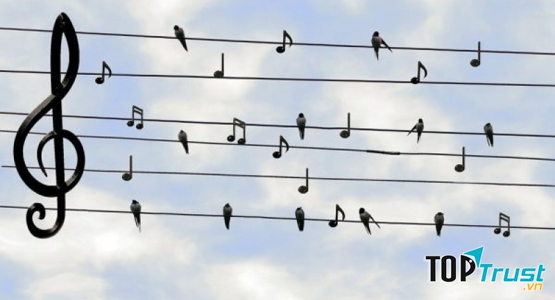 Nhạc sĩ trẻ tài năng của làng giải trí Việt