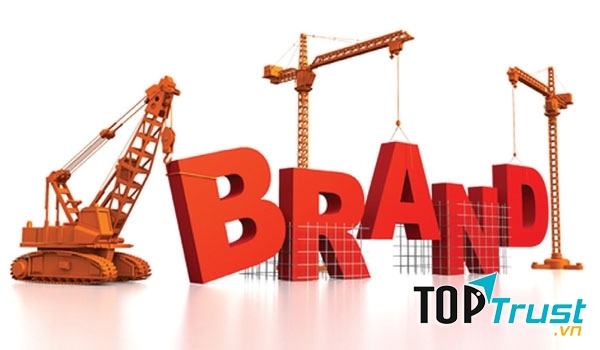 Nhãn hiệu giấy vệ sinh tốt nhất trên thị trường Việt Nam