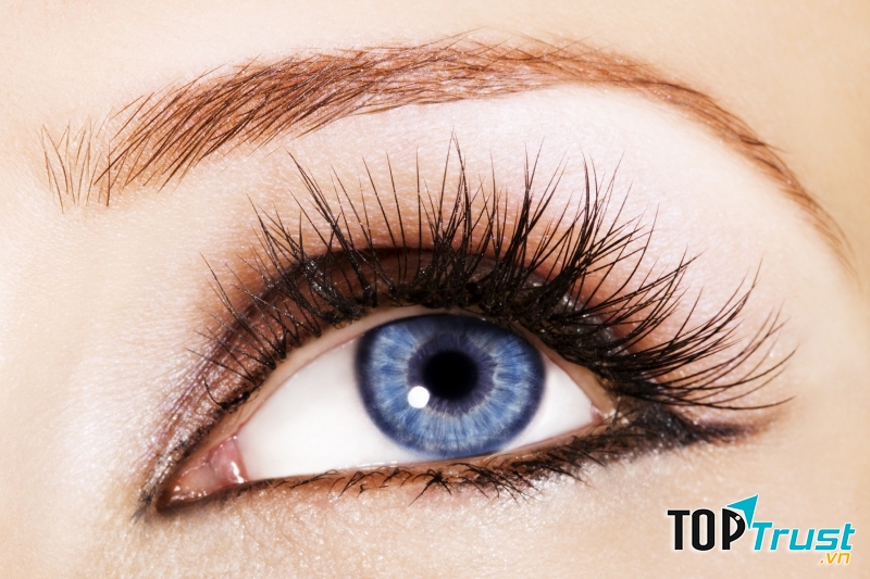 Nhóm thực phẩm tốt cho người bị cận thị