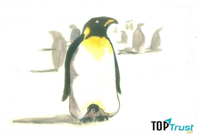 ông bố tuyệt vời nhất trong thế giới động vật