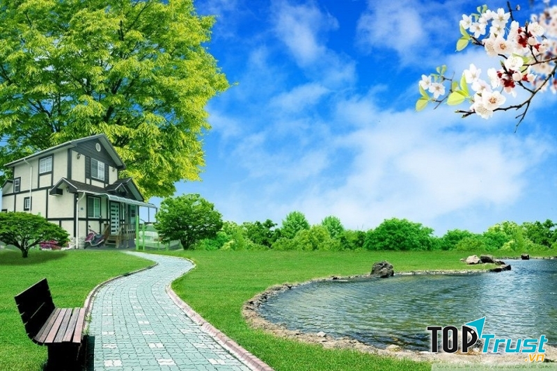 Phần mềm photoshop được sử dụng nhiều nhất hiện nay