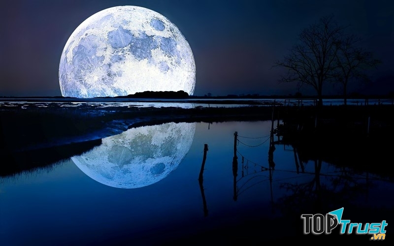 Phi hành gia đặt chân lên Mặt Trăng đầu tiên