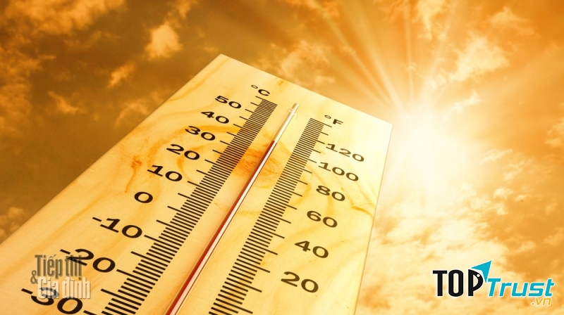 Phim hay nhất thích hợp xem vào mùa hè nắng nóng