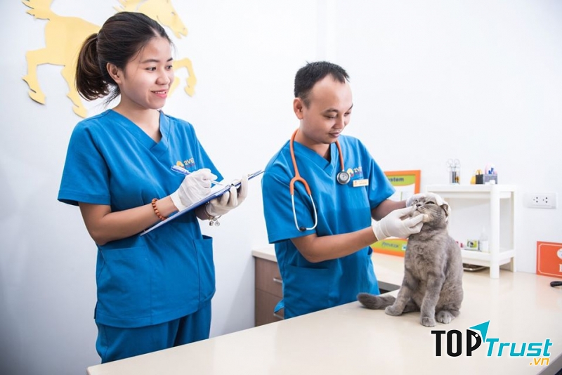 Phòng khám thú y uy tín nhất quận Ba Đình, Hà Nội