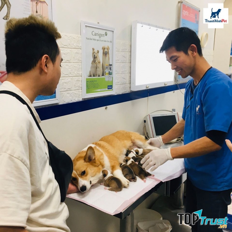 Phòng khám thú y uy tín nhất quận Thanh Xuân, Hà Nội