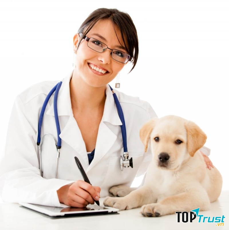 Phòng khám thú y uy tín nhất tại Hà Nội