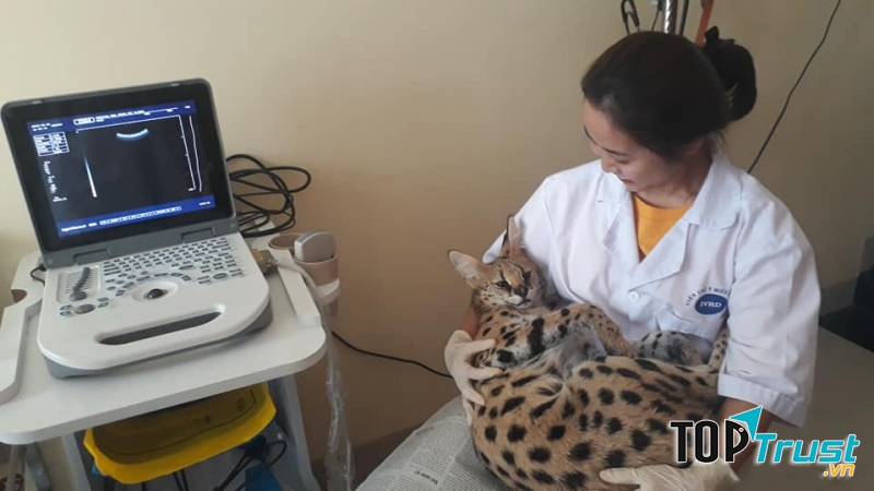 Phòng khám thú y uy tín nhất tại Nha Trang