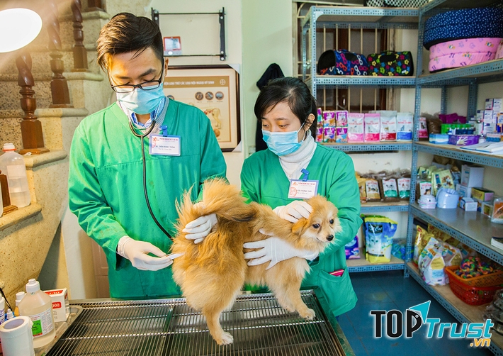 Phòng khám thú y uy tín nhất tại TP. Thủ Dầu Một, Bình Dương