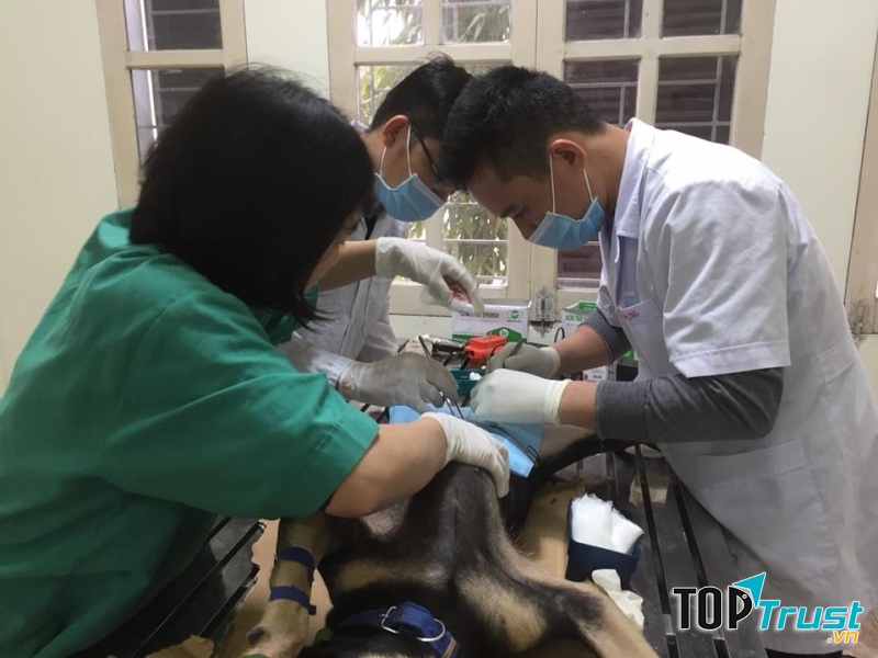 Phòng khám thú y uy tín nhất TP. Vinh, Nghệ An