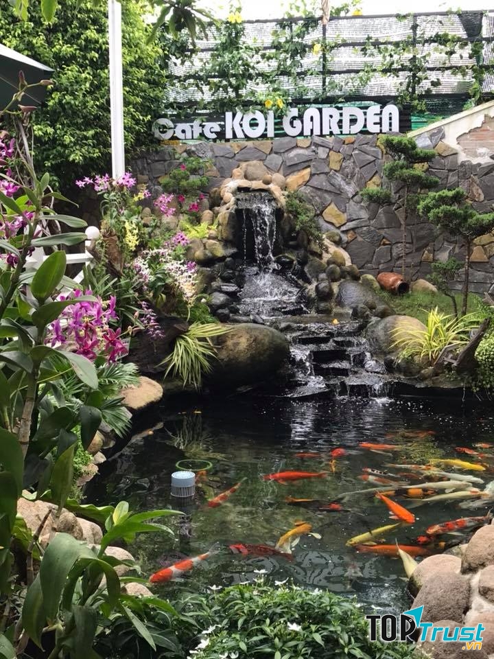 Quán cà phê cá koi thu hút khách nhất tại Tây Ninh