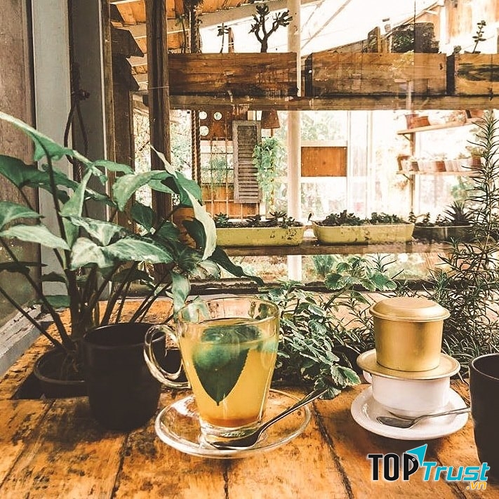 Quán cafe rộng nhất Đà Lạt