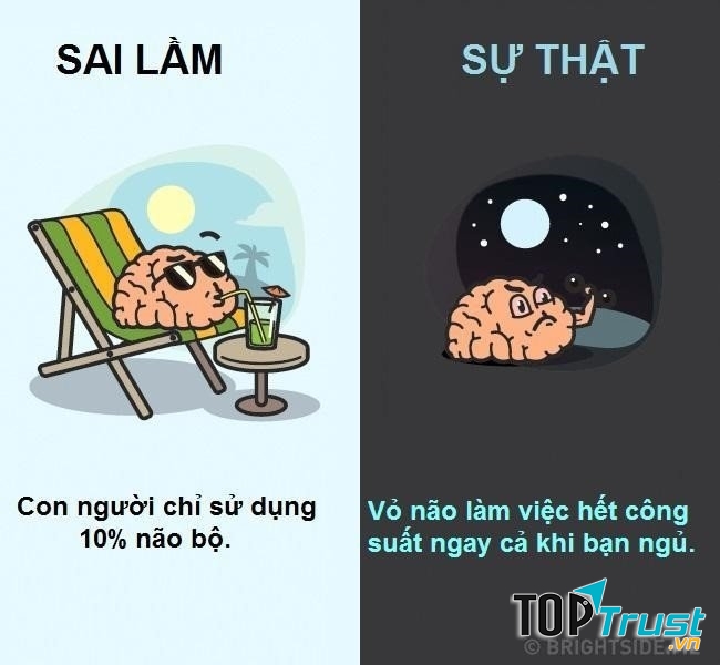 Quan niệm sai lầm phổ biến về cơ thể người