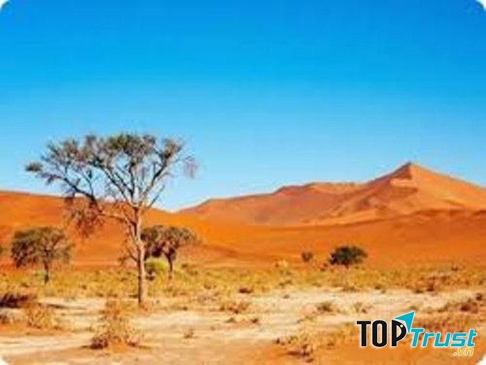 Sa mạc lớn nhất thế giới