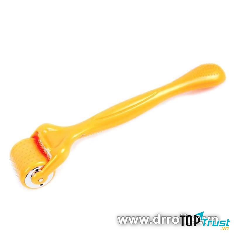 Sản phẩm kim lăn tốt nhất hiện nay