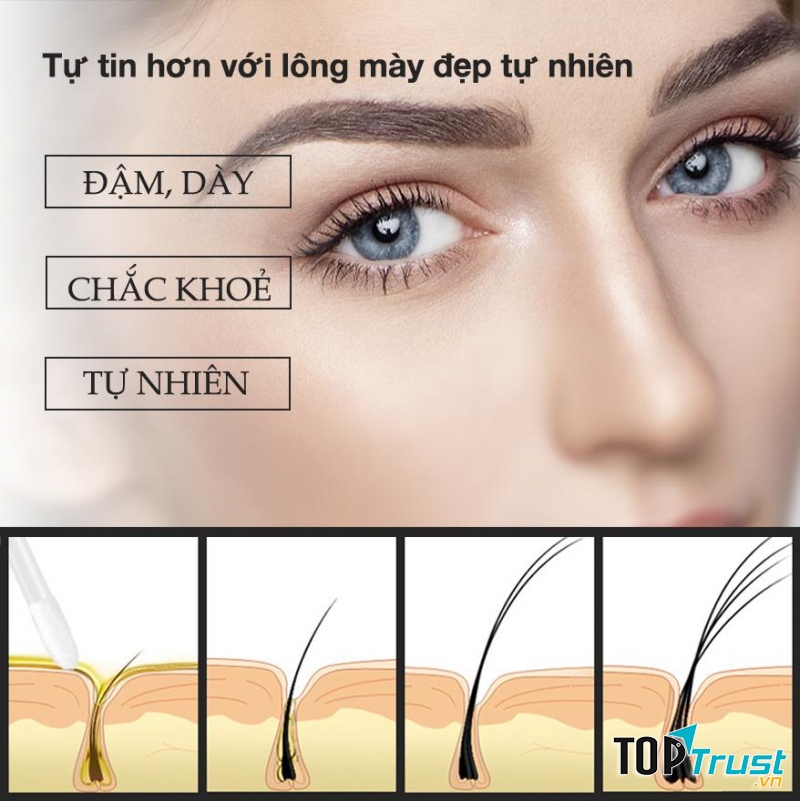 Serum dưỡng lông mày hiệu quả nhất