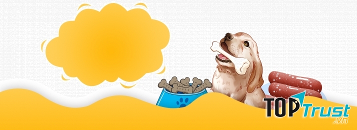 Shop bán phụ kiện thú cưng tốt nhất Quận Đống Đa, Hà Nội