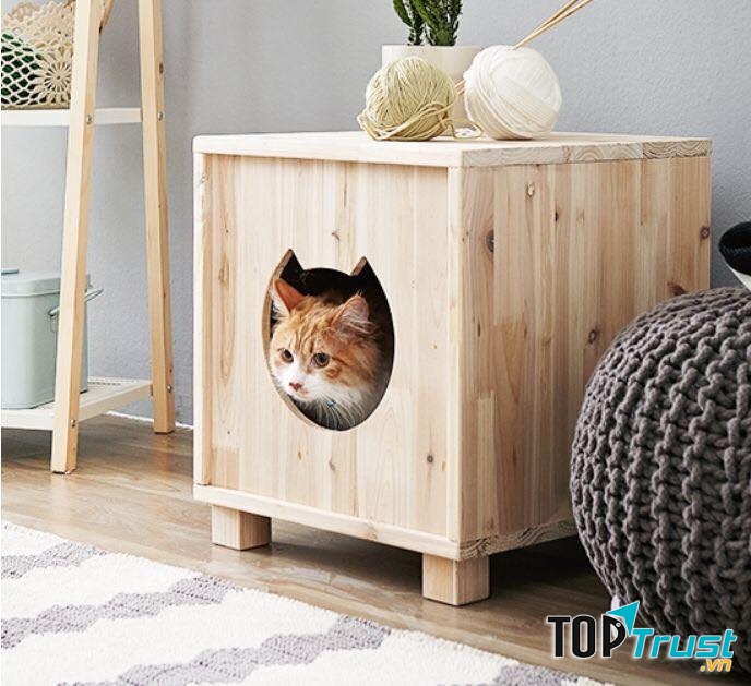 Shop bán phụ kiện thú cưng tốt nhất TP. Cẩm Phả, Quảng Ninh