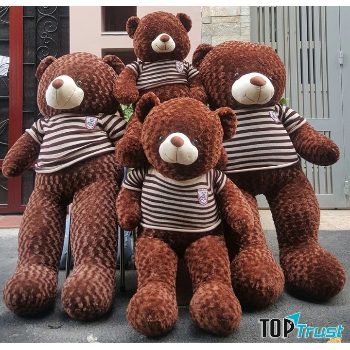 Shop gấu bông đẹp nhất quận Hai Bà Trưng, Hà Nội