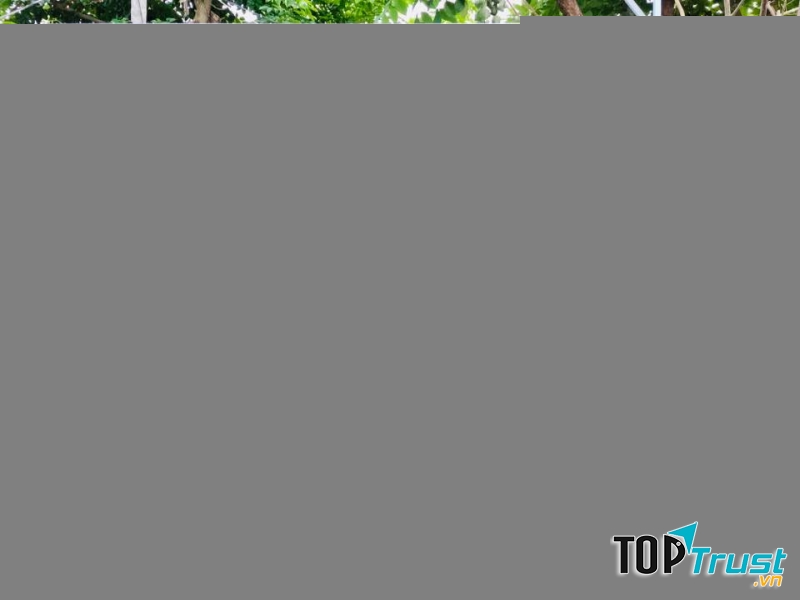 Shop hoa tươi đẹp và chất lượng nhất tại Hội An