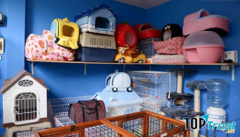 Shop phụ kiện cho thú cưng uy tín nhất Quận 2, TP. HCM