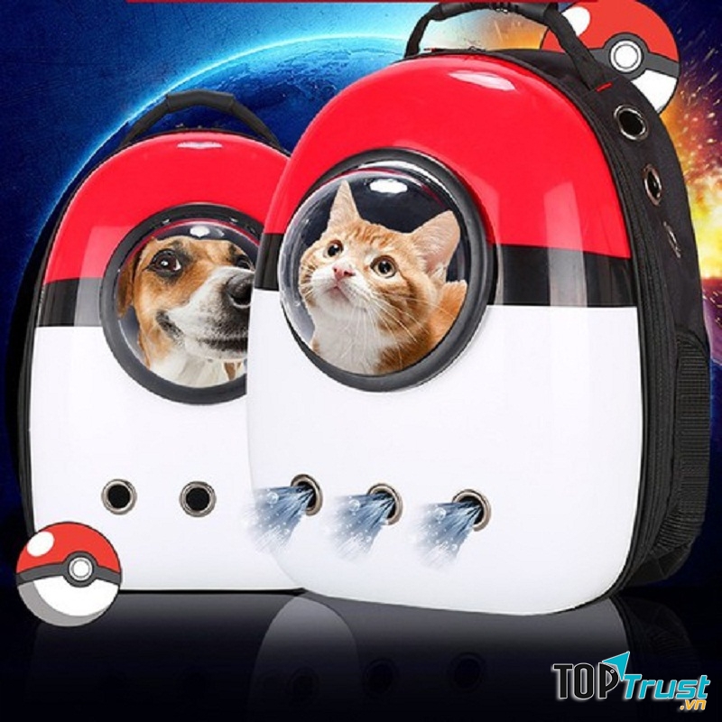 Shop phụ kiện cho thú cưng uy tín nhất Quận 3, TP. HCM