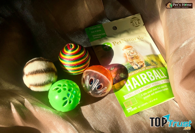 Shop phụ kiện cho thú cưng uy tín nhất Quận Gò Vấp, TP. HCM