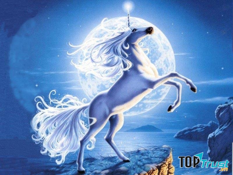 Sinh vật có hình thù kỳ lạ và đẹp nhất trong thế giới tự nhiên