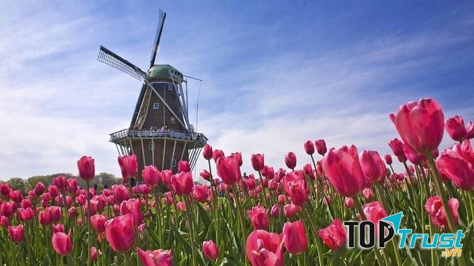 Sự thật thú vị chứng minh Hà Lan là đất nước của tương lai