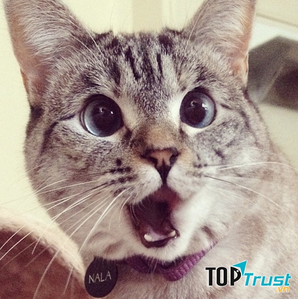 Sự thật thú vị về cơ thể con người có thể bạn chưa biết