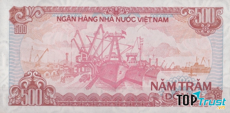 Sự thật thú vị về tiền có thể bạn muốn biết