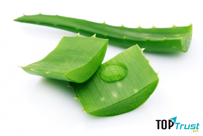 Tác dụng chữa bệnh thần kỳ của cây nha đam có thể bạn chưa biết