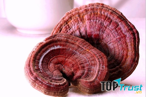 Tác dụng của nấm linh chi và cách sử dụng mang lại lợi ích tốt nhất