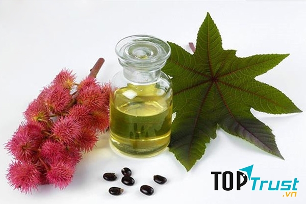 Tác dụng làm đẹp đáng kinh ngạc của dầu thầu dầu