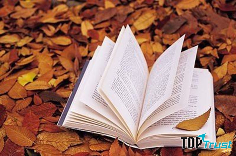 Tác phẩm xuất sắc nhất của tác giả Đinh Mặc