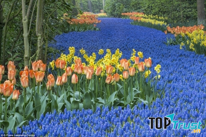 Thiên đường hoa đẹp nhất thế giới có thể bạn muốn biết