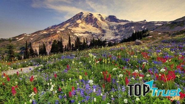 Thiên đường hoa đẹp nhất trên thế giới bạn không thể bỏ qua