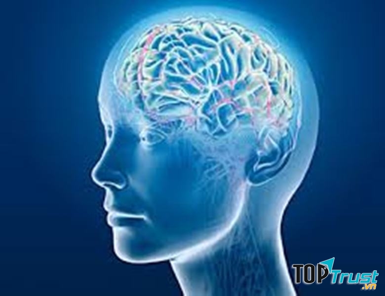 Thói quen ảnh hưởng xấu đến sức khỏe bộ não