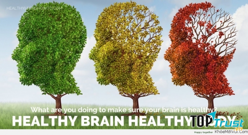 Thói quen giúp não khỏe mạnh bạn nên biết