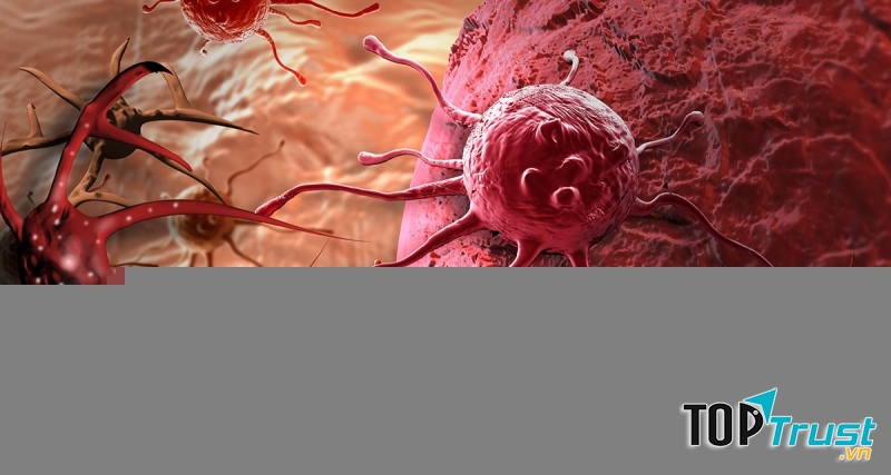 Thực phẩm ăn nhiều sẽ khiến bạn có nguy cơ bị teo não, ung thư