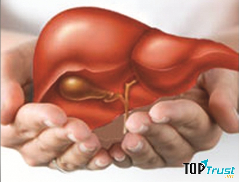 Thực phẩm ảnh hưởng nhất đến gan của bạn