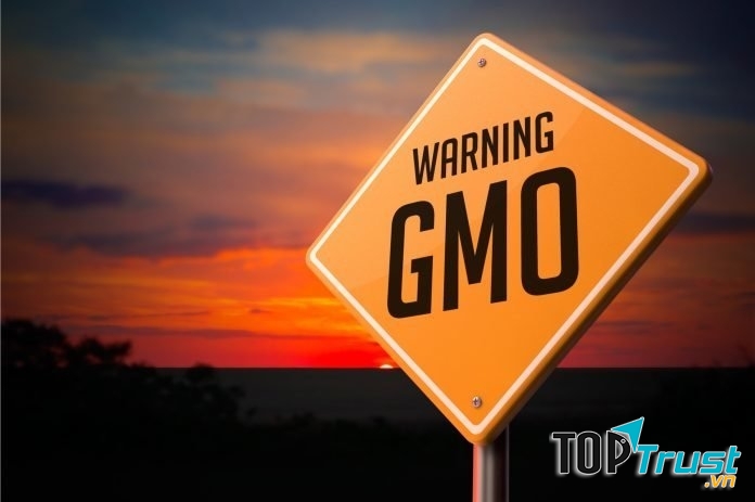 Thực phẩm biến đổi gen bạn nên biết