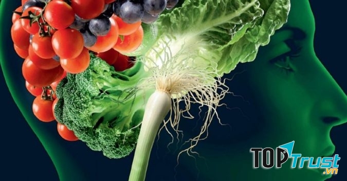 Thực phẩm bổ dưỡng cho não và tăng cường trí thông minh tốt nhất