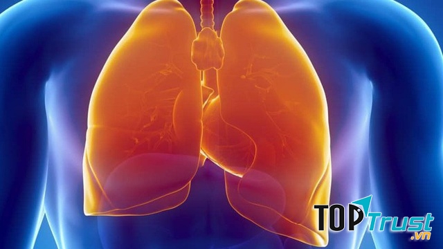 Thực phẩm chức năng giải độc phổi, bổ phổi tốt nhất hiện nay