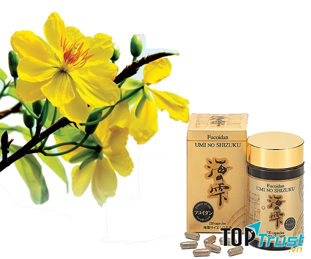 Thực phẩm chức năng hỗ trợ điều trị ung thư tốt nhất hiện nay