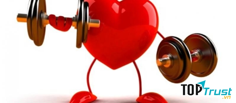 Thực phẩm chức năng hỗ trợ tim mạch tốt nhất hiện nay