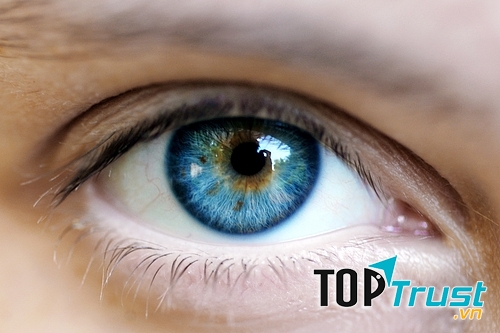 Thực phẩm dễ tìm, lại siêu tốt cho mắt.